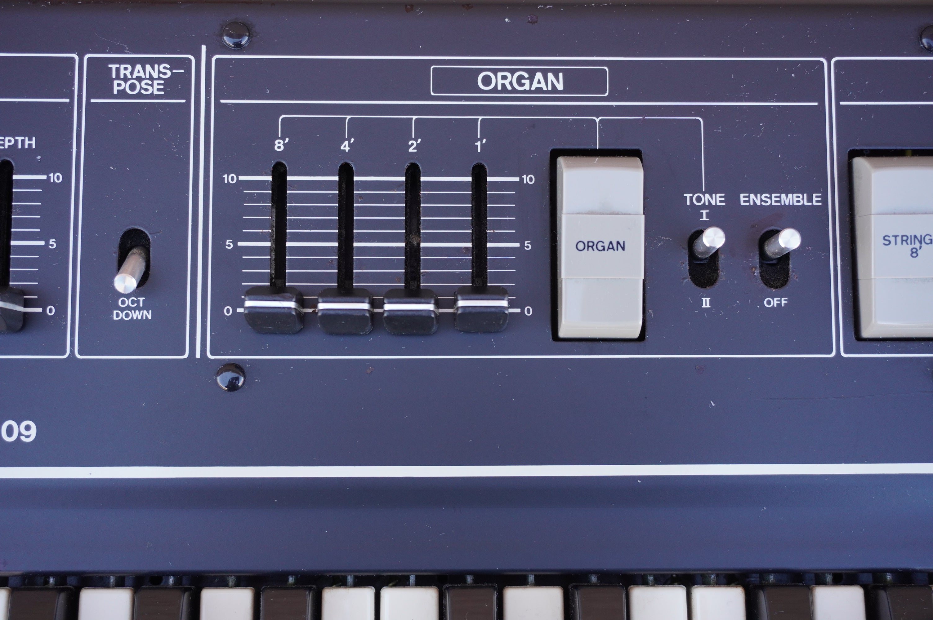 Roland RS-09 String and Organ Synthesizer – Custom Vintage