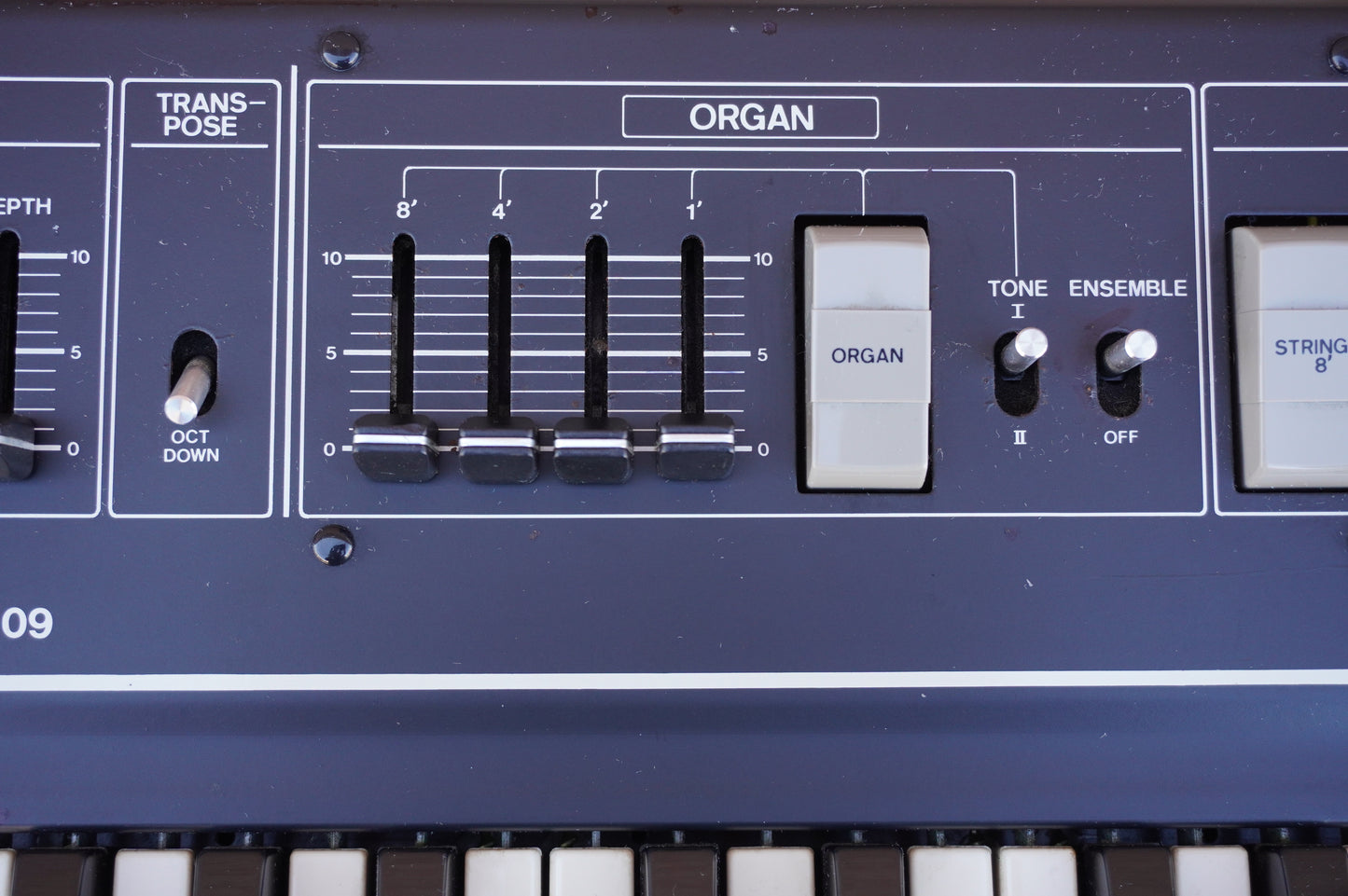 Roland RS-09 String and Organ Synthesizer