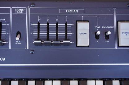 Roland RS-09 String and Organ Synthesizer